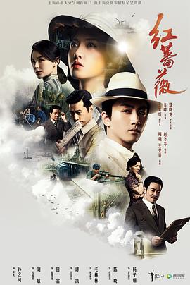 红蔷薇(DVD版)